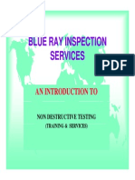 Blue Ray Inspection Services PDF