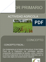 Presentacion, Actividad Agricola