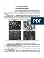 Introducere in Geologie - Curs 06 - Petrologie Metamorfica PDF