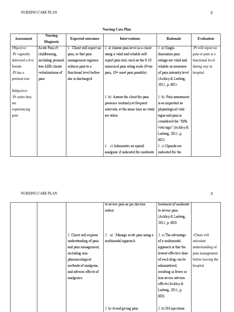 Nursing Postpartum Care Plan Pdf Pain Management Pain