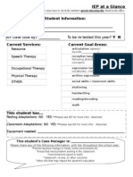 IEP at A Glance Single Page Form