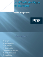 123318422 Presentation Exemple de Projet Figue de Barbarie