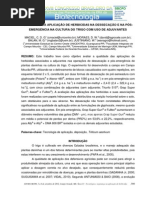 851_XXVIIICBCPD