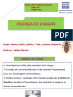 Doença de Chagas: causas, sintomas e prevenção
