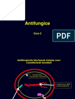 2.1. Antifungice