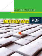 Antreprenoriat PDF