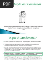 O Papel do Cambono na Umbanda | PDF | Mediunidade