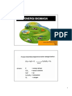 12 - BIOMASSA.pdf