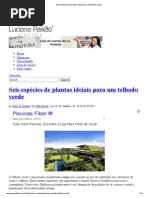 Seis espécies de plantas ideiais para um telhado verde