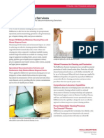 Chemical Cleaning PDF