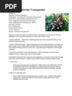 Download tanaman hiasdoc by Rizqi Widya SN179923110 doc pdf