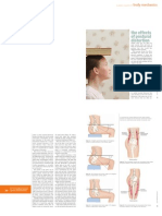 Effects of Postural Distortion - SU06