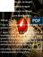 Carteis Magosto PDF