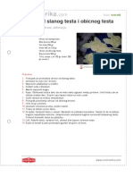 Ukrasi Od Slanog Testa I Obicnog Testa PDF