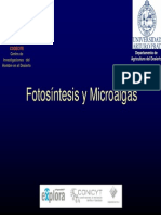 Microalgasyfotosíntesis