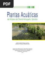 Plantas Acuaticas Del Peru Plantas Botanica