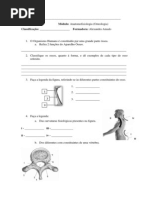 Teste de Osteologia - Turma de Massagem de LISBOA