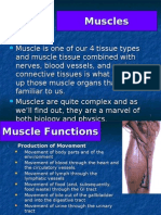anatomy presentation ho 5(Muscles)