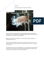 CT, Acercámdonos Al Crowntail (Parte I)