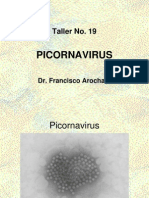 PICORNAVIRUS