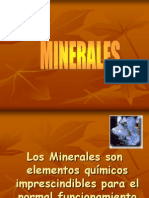 08 Minerales