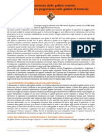 galline-ovaiole-dossier-lav.pdf