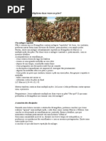 ESTUDO MILAGRE MULTIPLICAÇÃO DOS PÃES