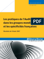 1007 Pratiques Audit Interne