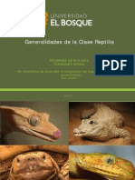 Generalidades de La Clase Reptilia