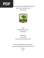 Download MakalahPribadi-StrukturOrganisasidanProgramPuskesmasKecamatanLubukKilangandocxbysandurezuSN180110485 doc pdf