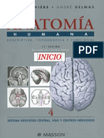 Tomiaana Neuroanatomia