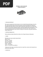 Download BUDIDAYA IKAN MUJAIRdocx by Rajwa Athoriq SN180118639 doc pdf