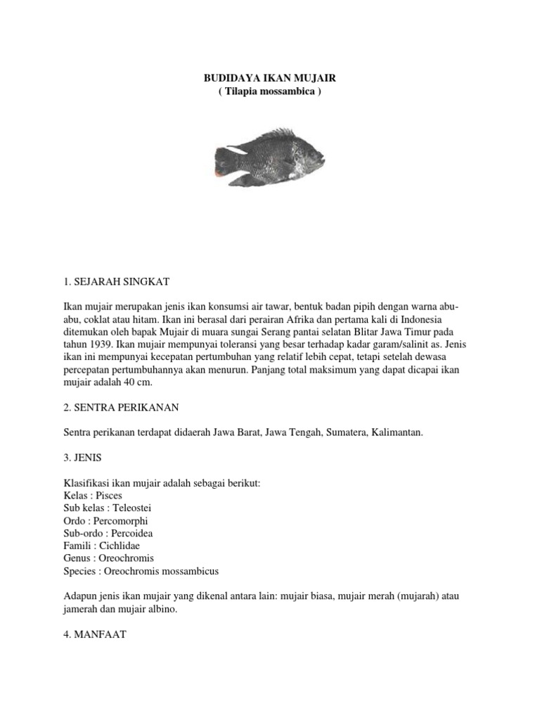 Budidaya Ikan Mujair