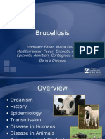 Brucellosis Ppt1234