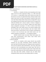 Download Pemanfaatan  Pupuk Organik Limbah Kubis untuk Kultur Spirulina spdocx by Amir Yarkhasy SN180167473 doc pdf