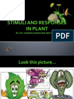 STIMULI AND RESPONSES IN PLANT.ppsx