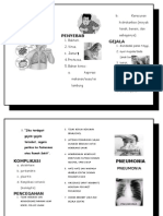 Leaflet Pneumonia