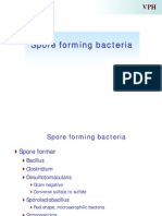 Spore Forming Bacteria