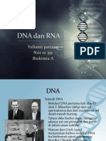 DNA Dan RNA