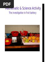 (SCI) Report of Fruit Battery