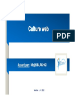 Presentation Culture Web