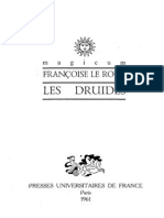 Druidy PDF