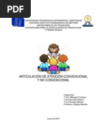 Articulación de Atención Convencional y No Convencional