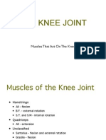 Knee-Muscle Pdfkjhdfks