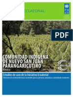  Estudios de Caso PNUD: COMUNIDAD INDÍGENA 
DE NUEVO SAN JUAN 
PARANGARICUTIRO, Mexico