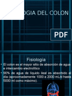 Fisio de Colon