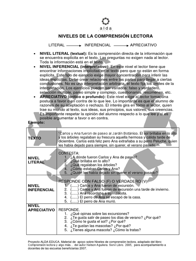 29 Niveles de La Comprension Lectora | PDF