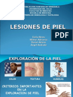 Lesiones de Piel 2013