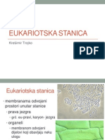 Eukariotska Stanica PDF
