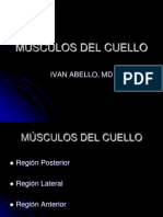 2 Msculos Del Cuello 1228807513911837 9